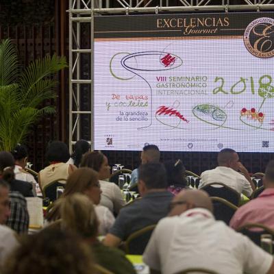 IX Seminario Gastronomico Internacional Excelencias Gourmet 2019